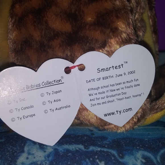 🌼 Smartest "Class of 2003"  Owl 🦉 - Picture 6 of 6